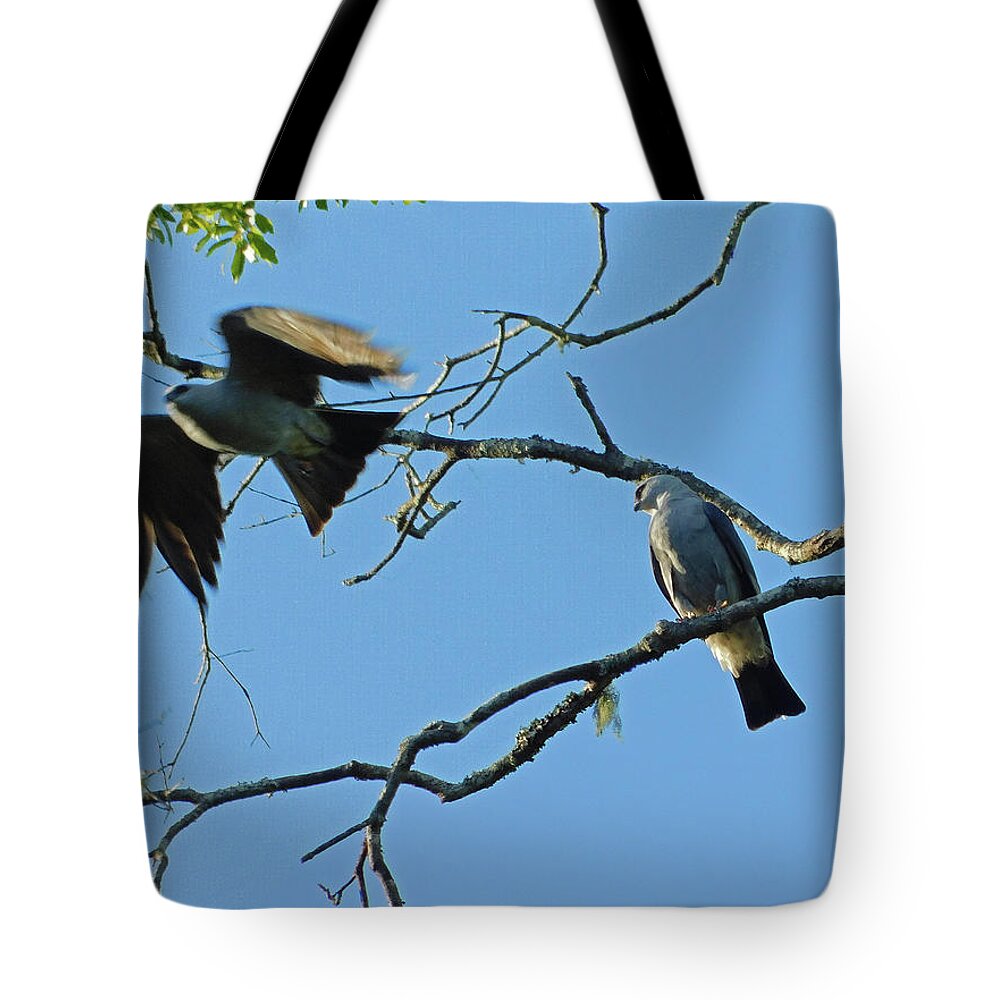 Bird Tote Bag featuring the photograph Lift Off by Carl Moore