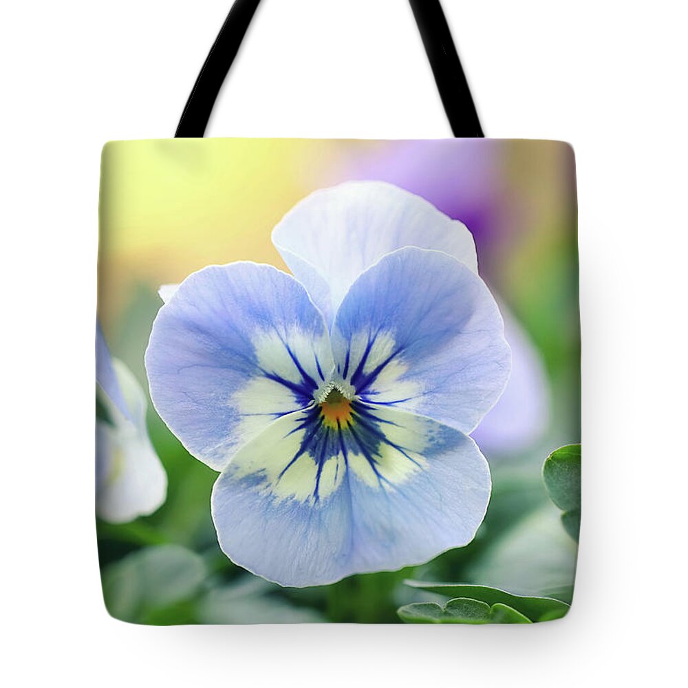 Pansy Tote Bag featuring the photograph Light Blue Pansy by Maria Meester
