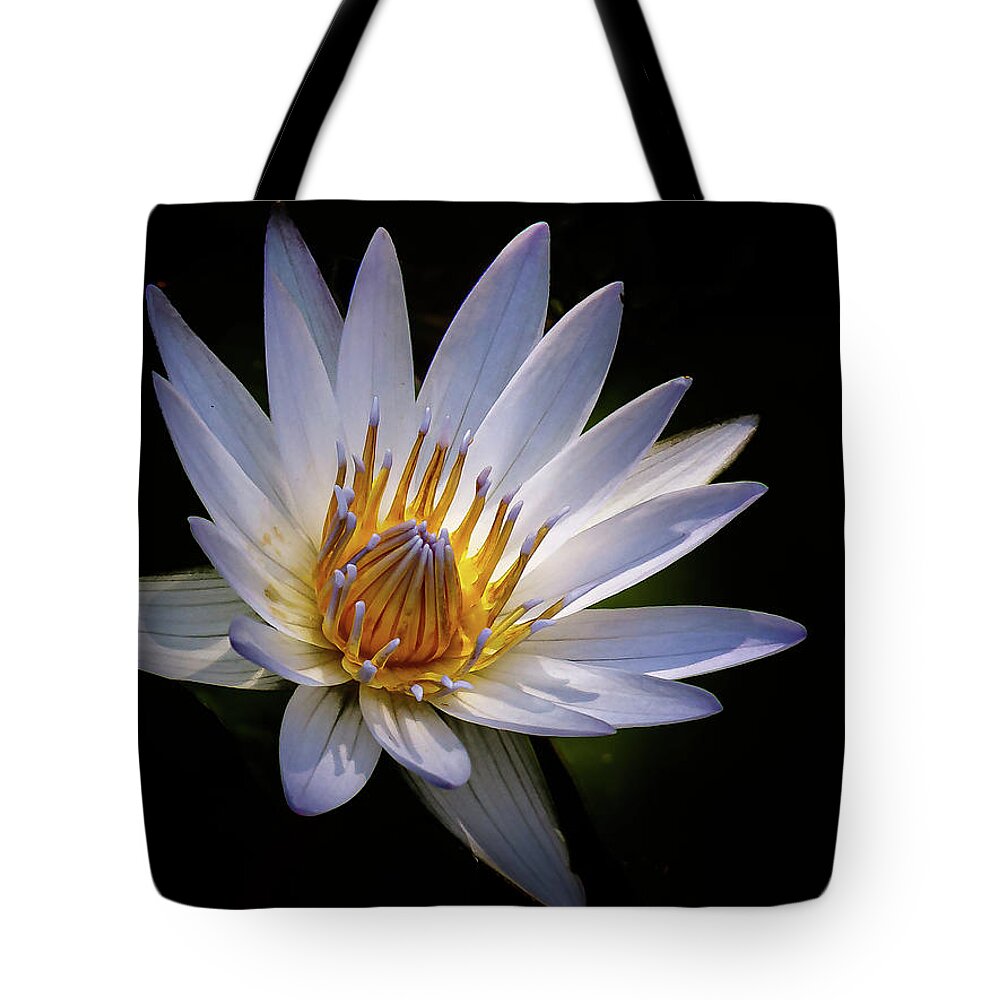 Flower Tote Bag featuring the photograph Light my life by Les Greenwood