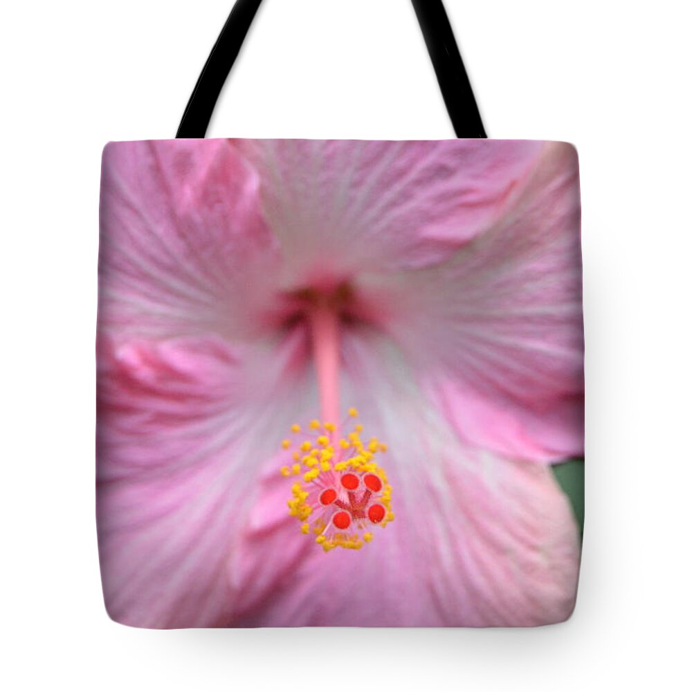 Flower Tote Bag featuring the photograph Light Pink Hibiscus 3 by Amy Fose