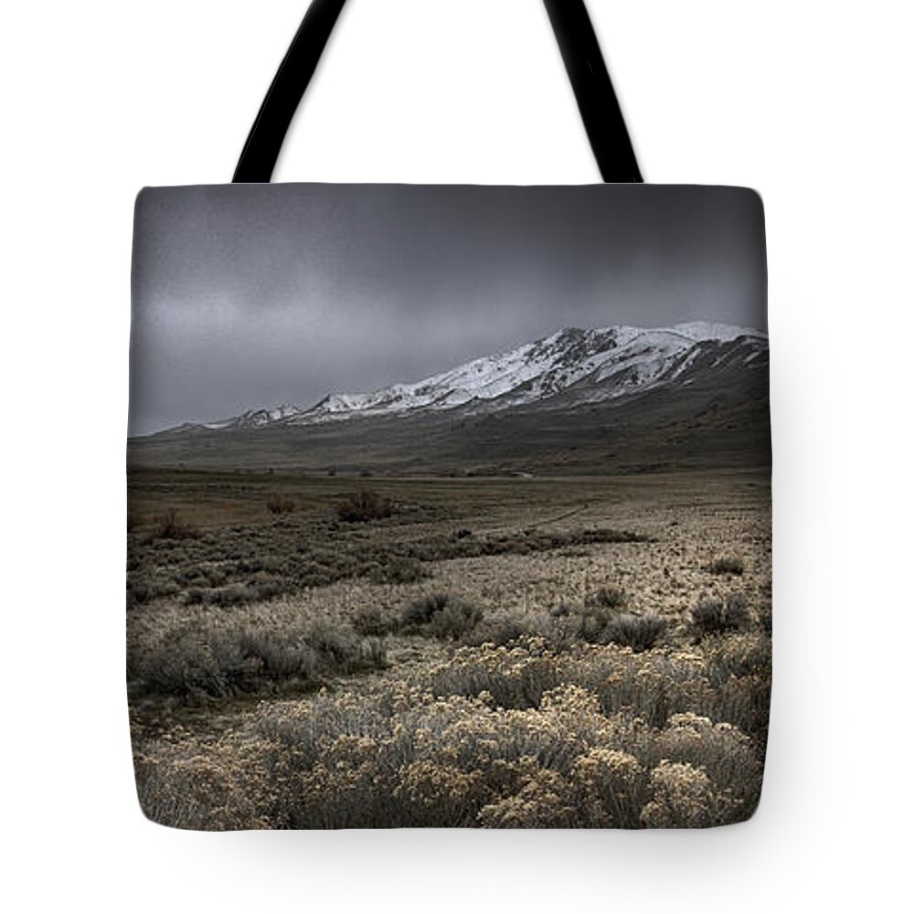 Utah Tote Bag featuring the photograph Light Reflections by JoAnn Silva