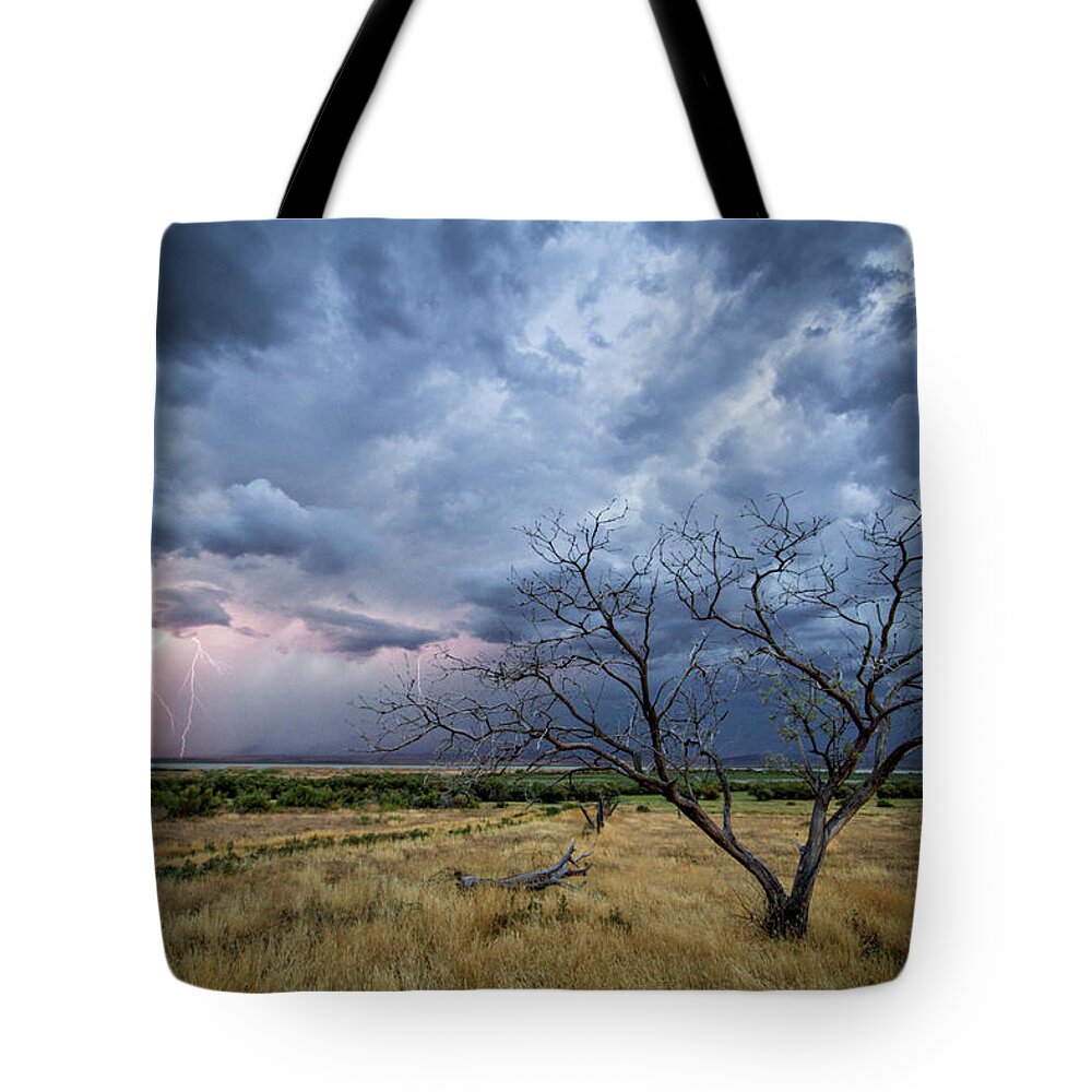Storm Tote Bag featuring the photograph Lightning Strike with Tree by Wesley Aston