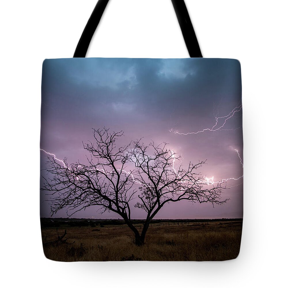 Storm Tote Bag featuring the photograph Lightning Tree by Wesley Aston