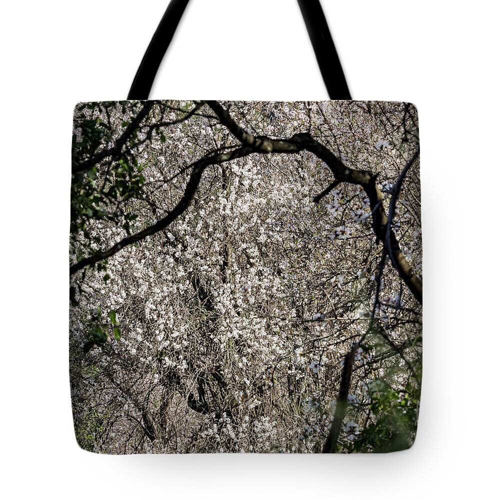 Almond Tote Bag featuring the photograph Like a white wall by Arik Baltinester