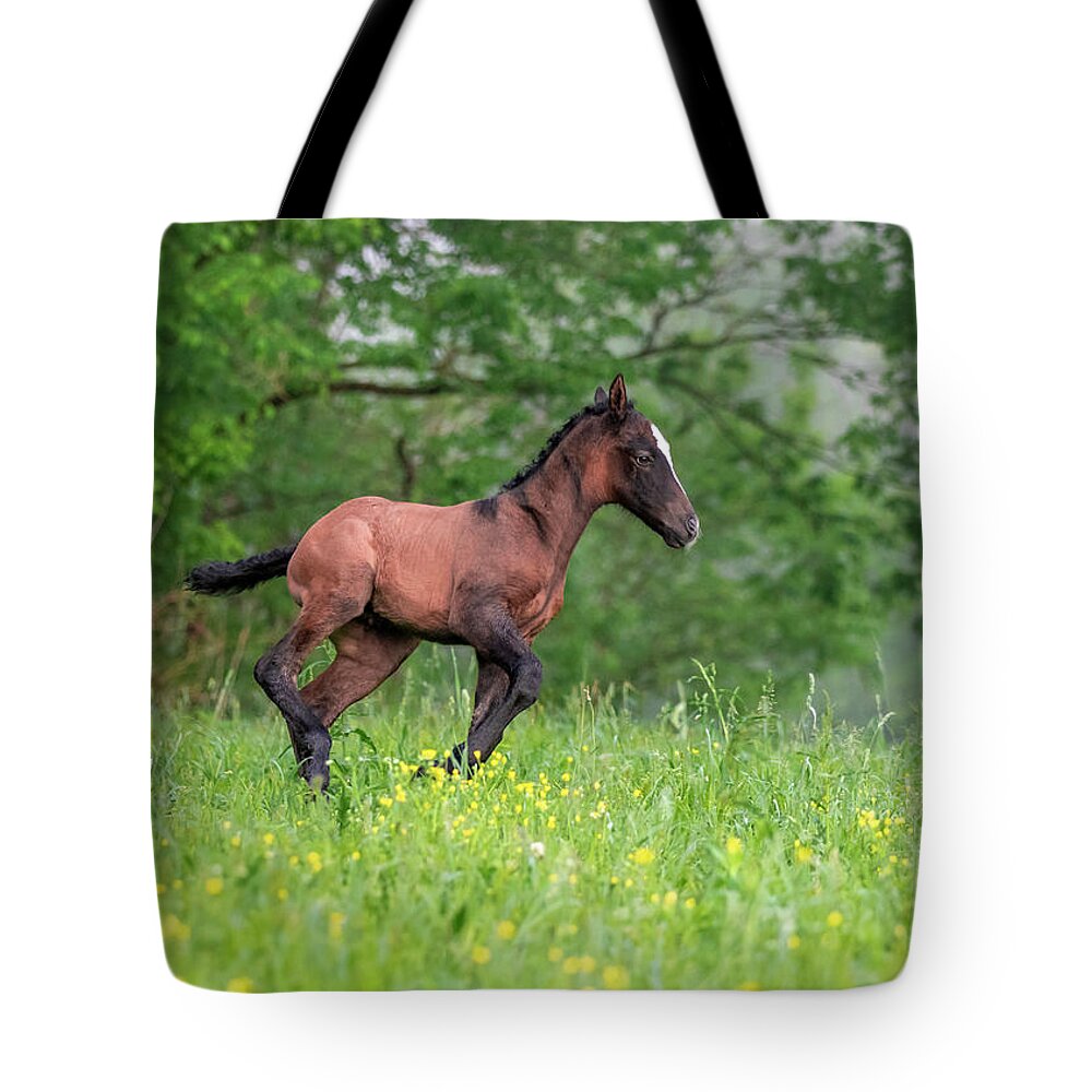 Horse Tote Bag featuring the photograph Lil Ombre by Holly Ross