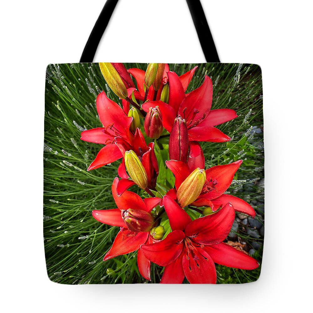 Lilium Tote Bag featuring the photograph Lilium Blackout flower by Jerry Abbott