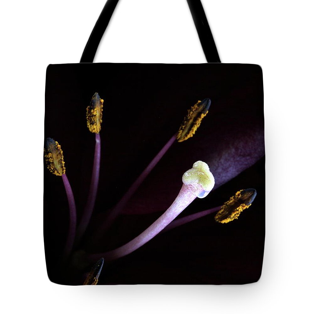 Botanica Tote Bag featuring the photograph Lily 3684 by Julie Powell