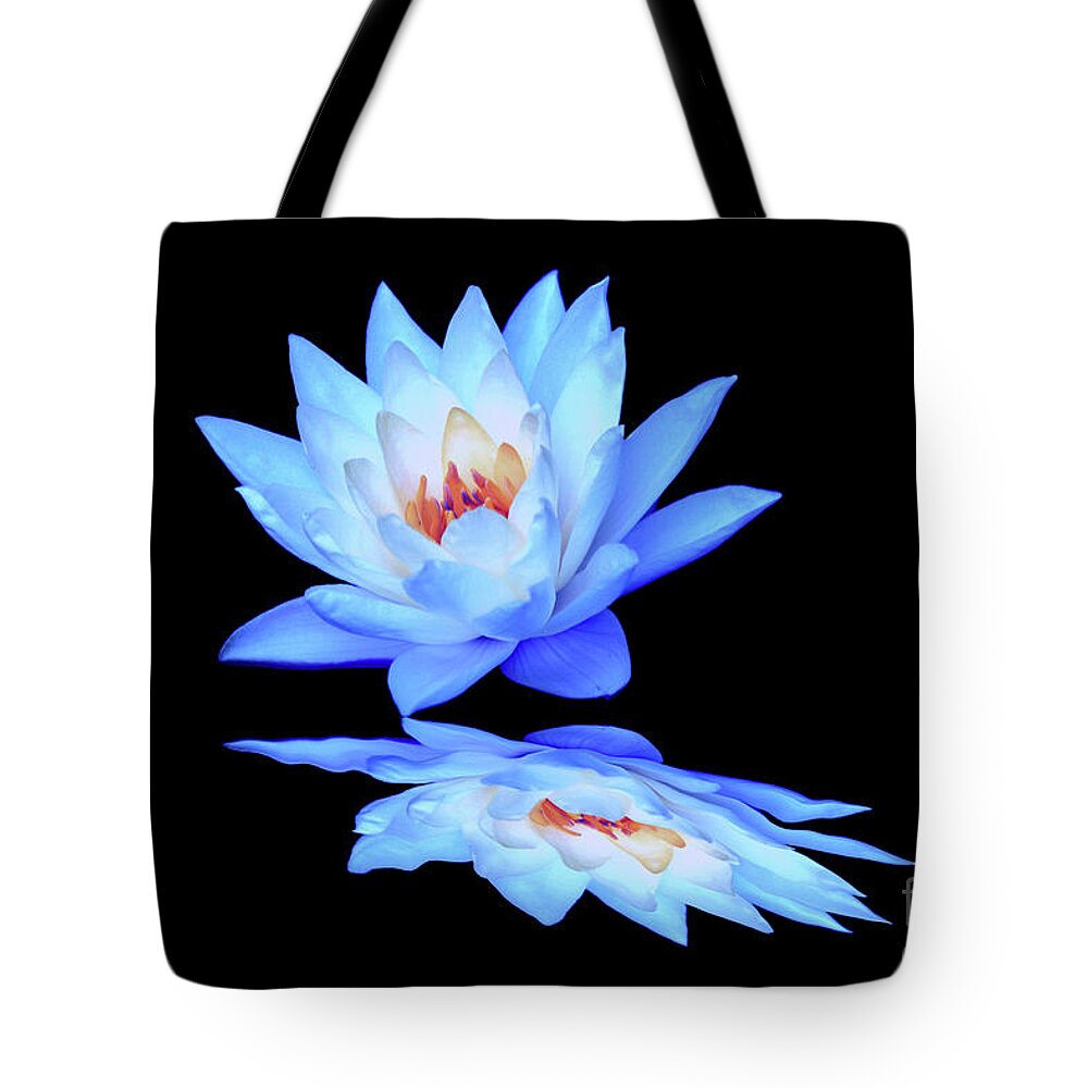 Water Lily; Water Lilies; Lily; Lilies; Flowers; Flower; Floral; Flora; Blue; Blue Water Lily; Blue Flowers; Black; Pink; Digital Art; Photography; Painting; Simple; Decorative; Décor; Macro; Close-up Tote Bag featuring the digital art LIly Blue Reflection by Tina Uihlein