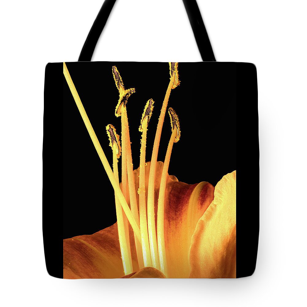 Orange Tote Bag featuring the photograph Lily Detail by Steven Nelson