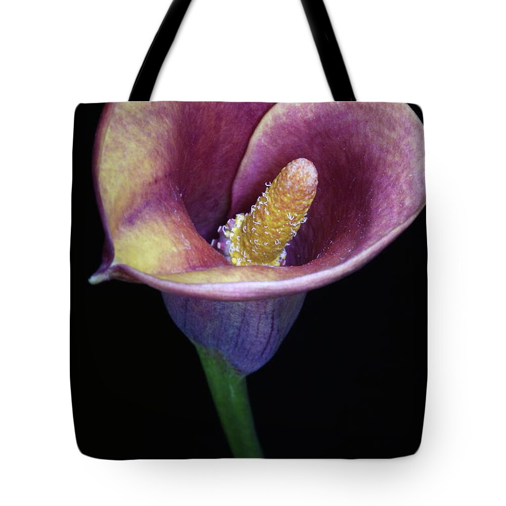 Flower Tote Bag featuring the photograph Lily Feb282008 by Julie Powell