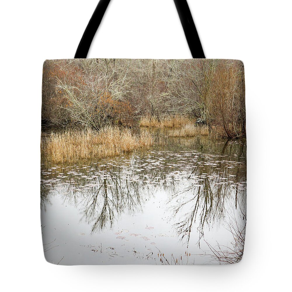 Pond Tote Bag featuring the photograph Lily Pad Pond Solace by Ed Williams