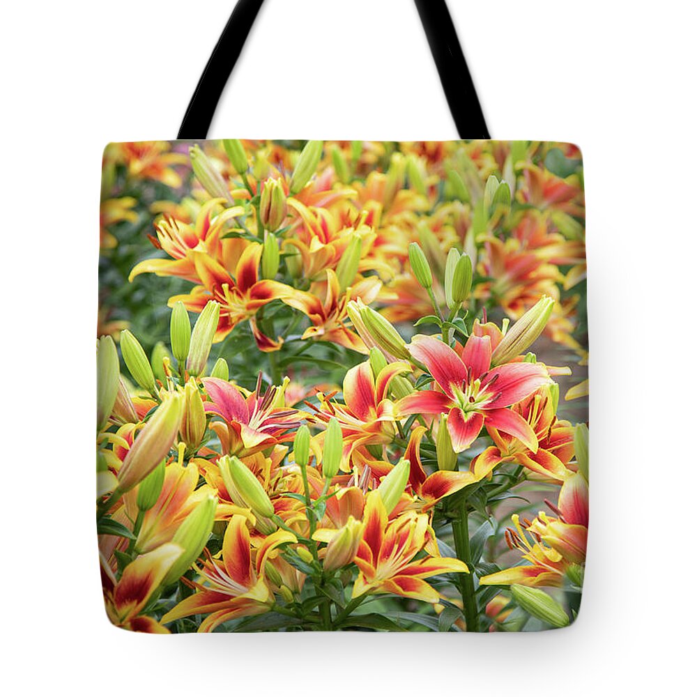 Gardens Tote Bag featuring the photograph Lilycrest Lilymania by Marilyn Cornwell