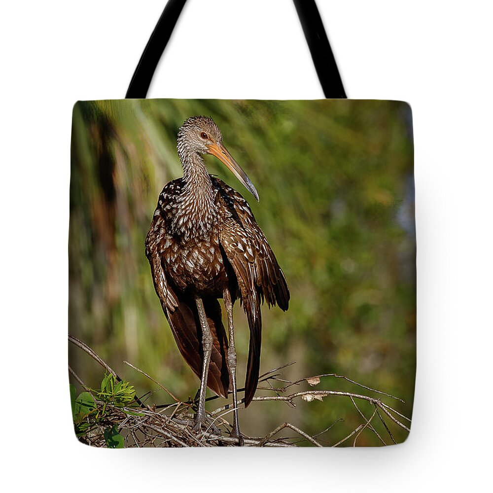 Limp Kin Tote Bag featuring the photograph Limpkin by Les Greenwood