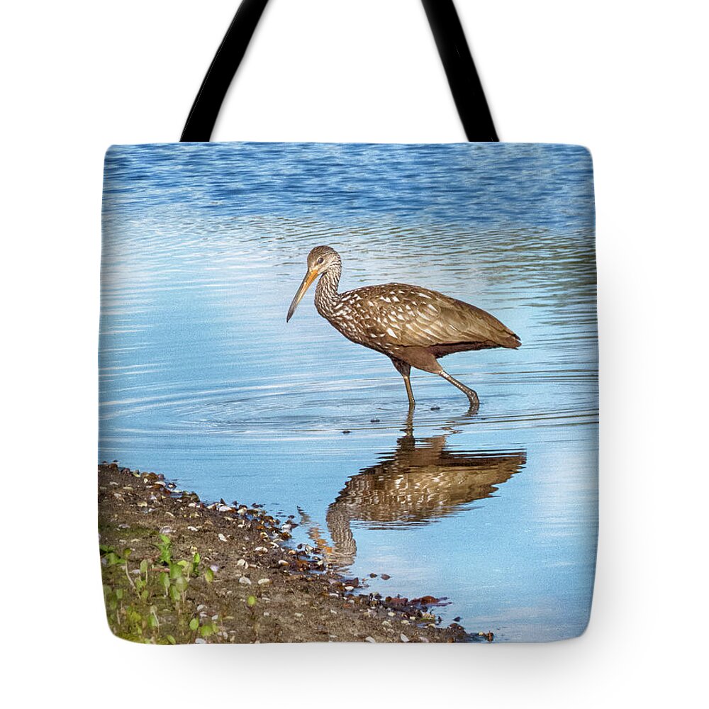 Limpkin Tote Bag featuring the photograph Limpkin Moment by Mitch Spence