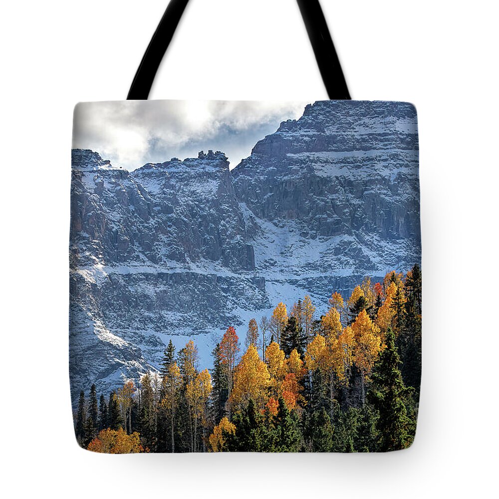 Gold Leaves Tote Bag featuring the photograph Linear Pursuit by Jim Garrison