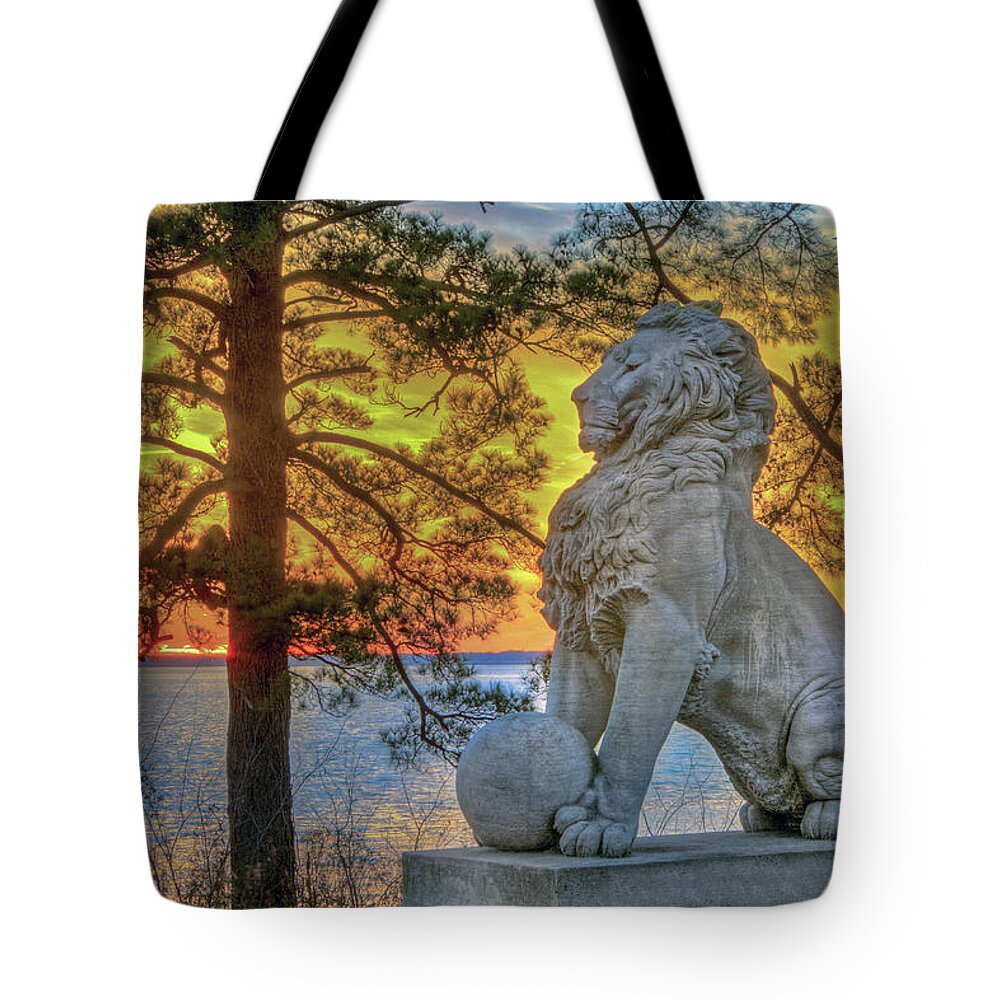 Lions Bridge Tote Bag featuring the photograph Lion at Sunset by Jerry Gammon