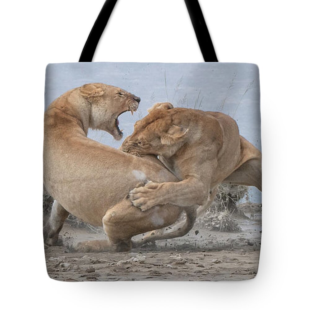 Lion Tote Bag featuring the photograph Lion Fight by Patrick Nowotny