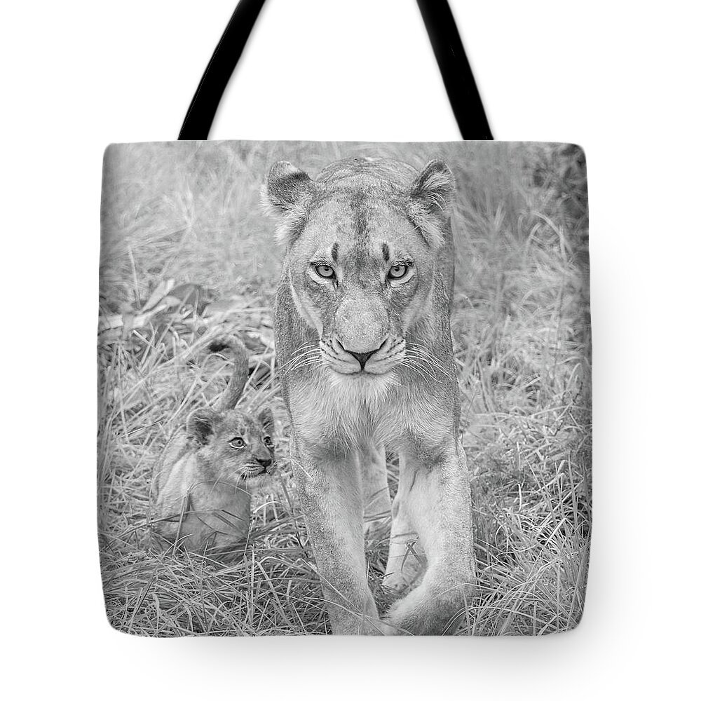 Lioness Tote Bag featuring the photograph Lioness and Cub Walking by Rebecca Herranen