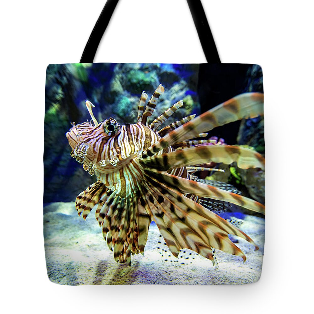 Lion Tote Bag featuring the photograph Lionfish in the Water by Beachtown Views