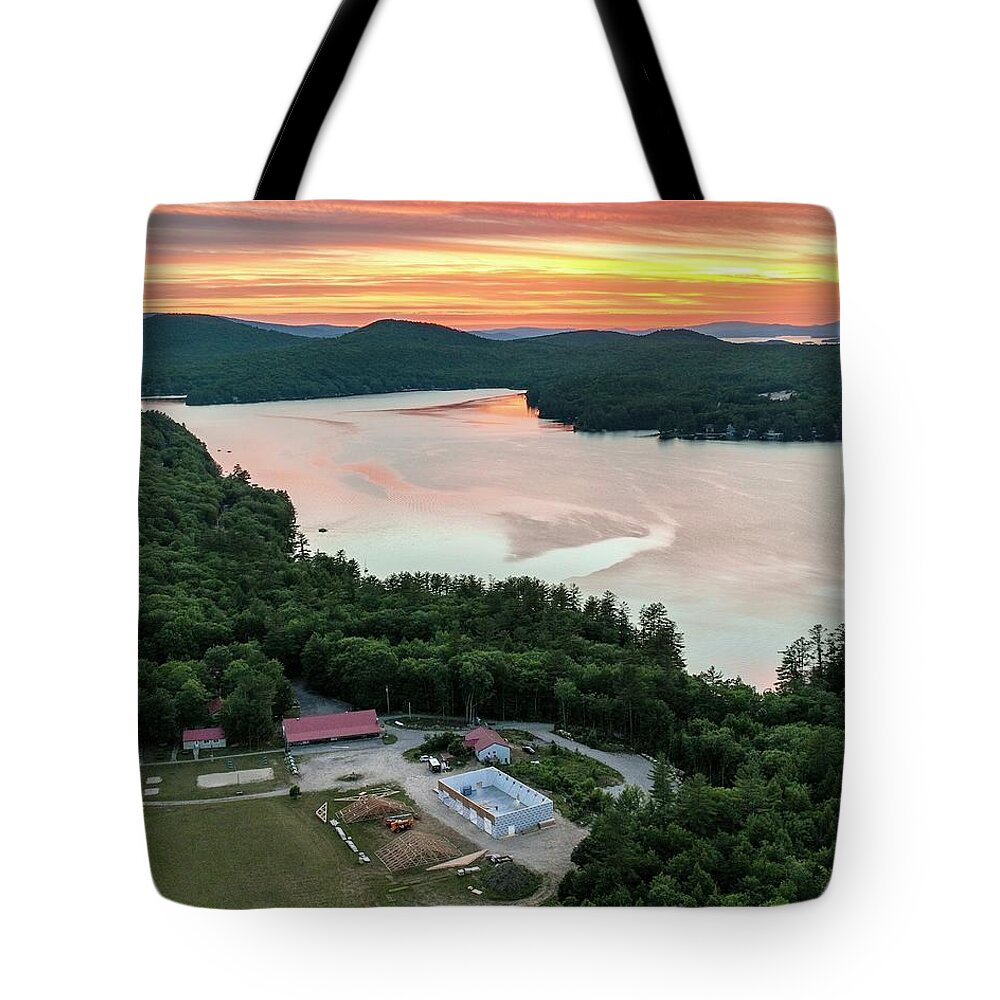  Tote Bag featuring the photograph Lions Camp Pride by John Gisis