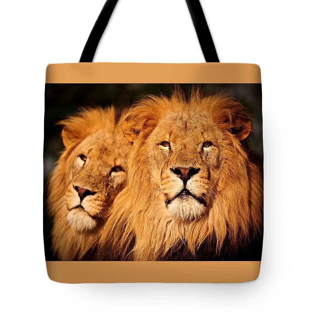 Lions Tote Bag featuring the mixed media Lions Rule and I Do Too by Nancy Ayanna Wyatt