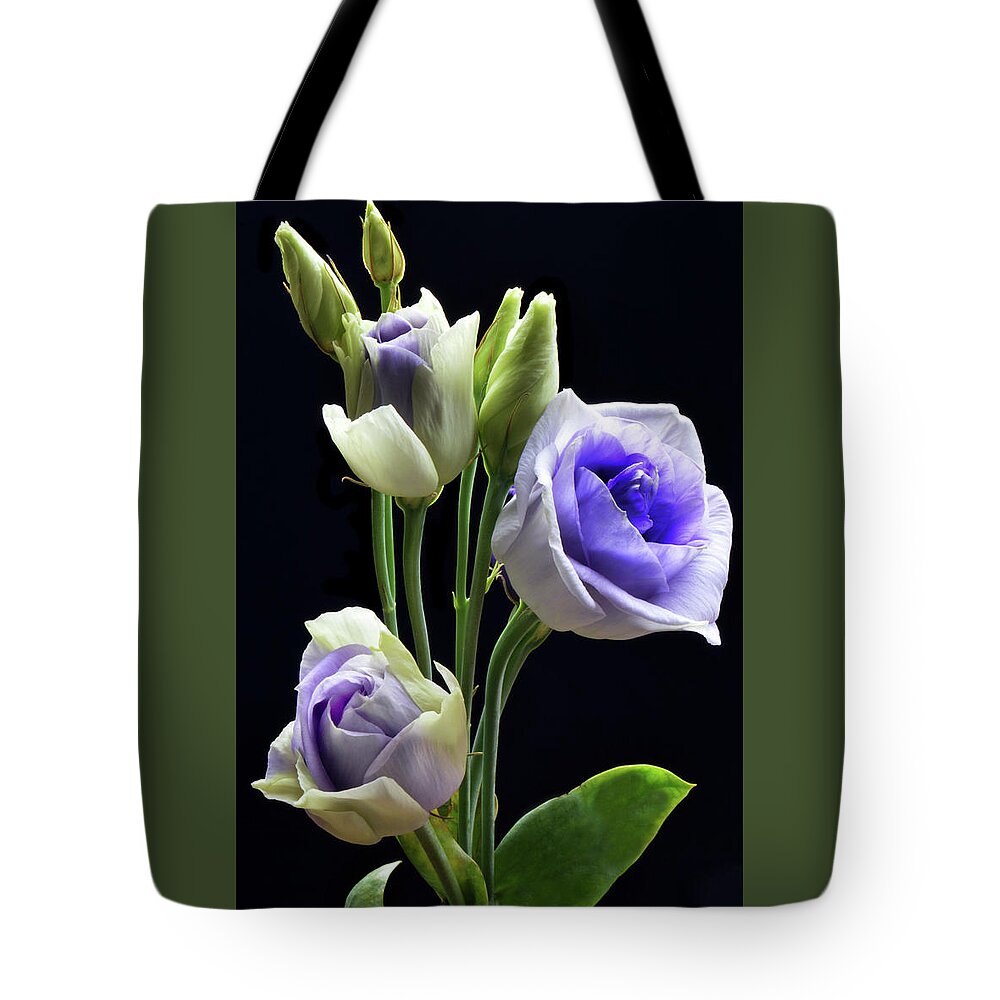 Lisianthus Tote Bag featuring the photograph Lisianthus And Buddies by Terence Davis