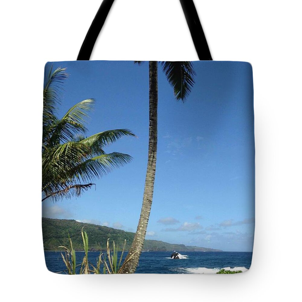  Tote Bag featuring the painting Lisloffinna 2 by Trevor A Smith