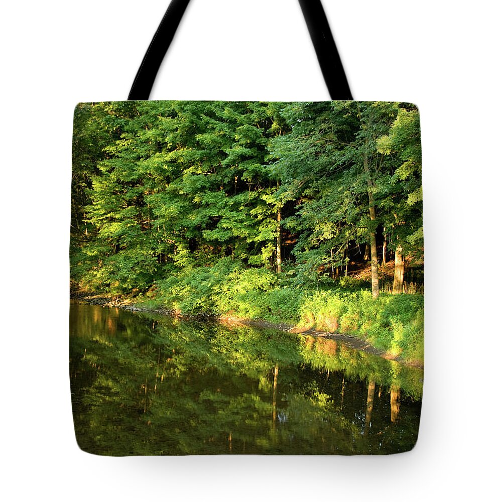 Litchfield Tote Bag featuring the photograph Litchfield Connecticut_3466 by Rocco Leone