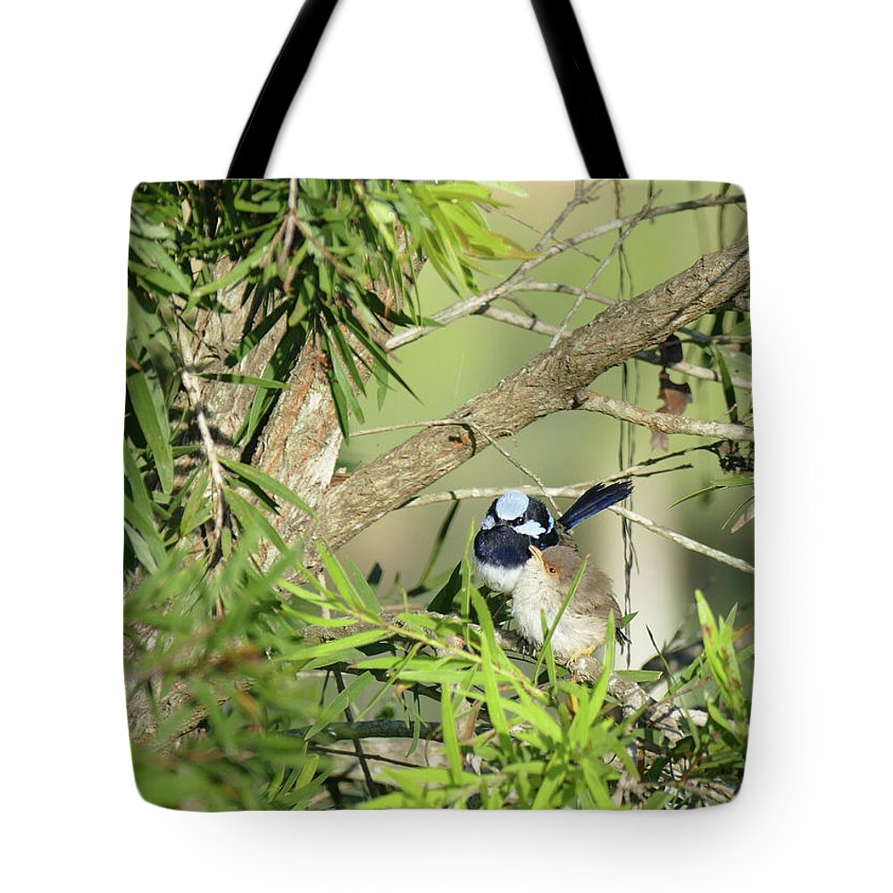 Animals Tote Bag featuring the photograph Little Fluff Ball by Maryse Jansen
