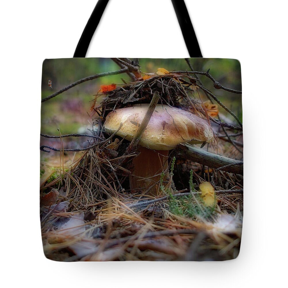 Fungus Tote Bag featuring the photograph Little Forest Charmer by Andrii Maykovskyi
