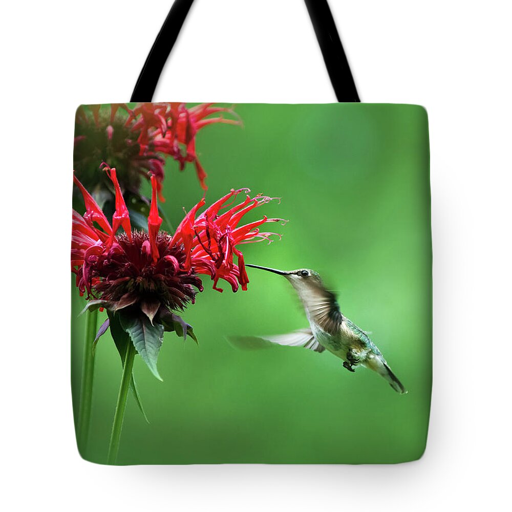 Bird Tote Bag featuring the photograph Little Garden Jewel by Christina Rollo