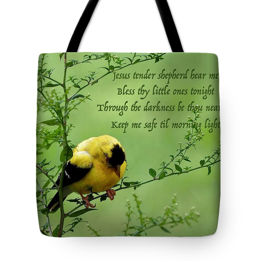 Goldfinch Tote Bag featuring the photograph Little Prayer by Alida M Haslett
