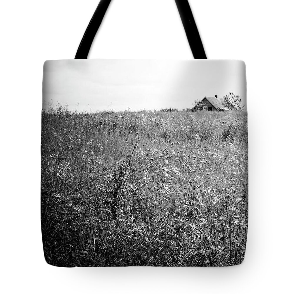 Barn Tote Bag featuring the photograph Little Songs by J C