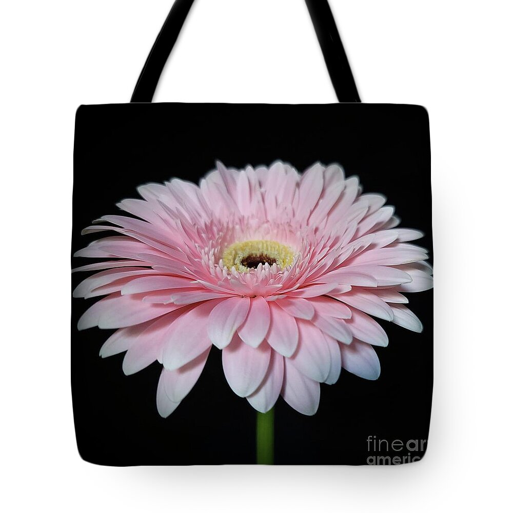Art Tote Bag featuring the photograph Live Happily by Jeannie Rhode
