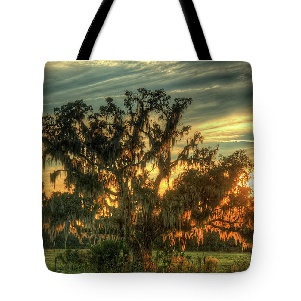 Oak Tote Bag featuring the photograph Live Oak Sunset by Doug McPherson
