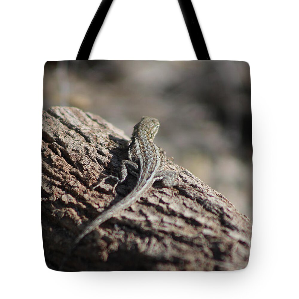 Lizard Tote Bag featuring the photograph Lizard on a Log Coachella Valley Wildlife Preserve by Colleen Cornelius