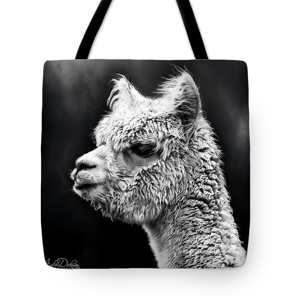 Llama Tote Bag featuring the photograph Llama Life by Andrew Dickman
