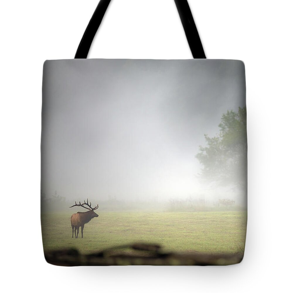 Great Smoky Mountains National Park Tote Bag featuring the photograph Lone Bull by Robert J Wagner