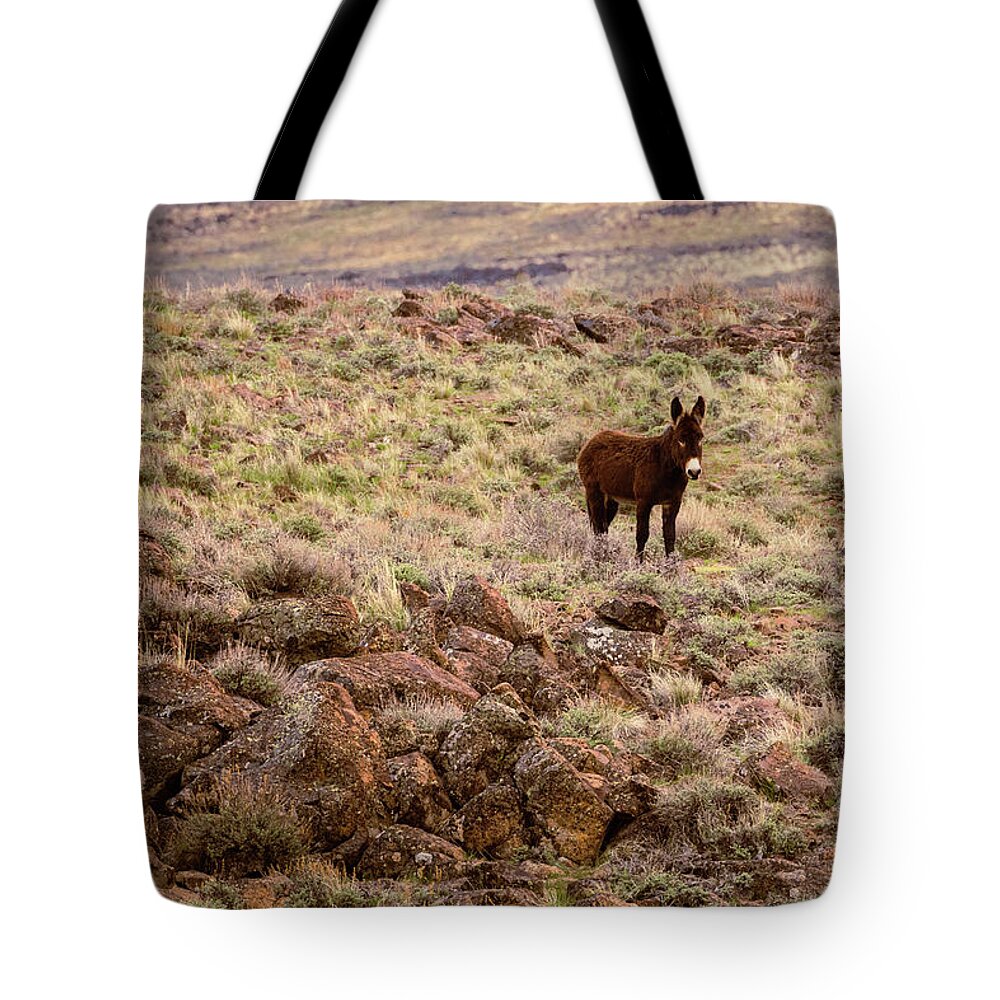 Lassen Tote Bag featuring the photograph Lone Burro in the Desert by Mike Lee