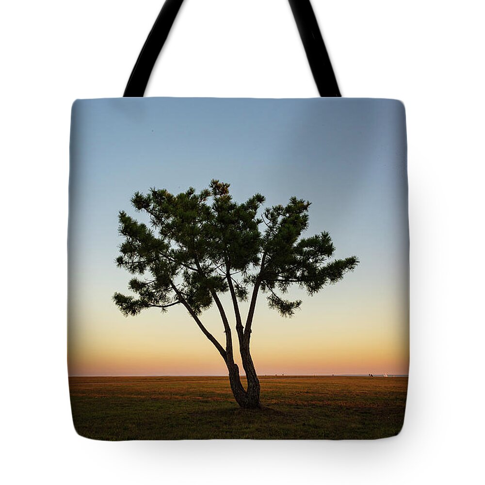 Lone Tote Bag featuring the photograph Lone Tree at Twilight Color by David Gordon