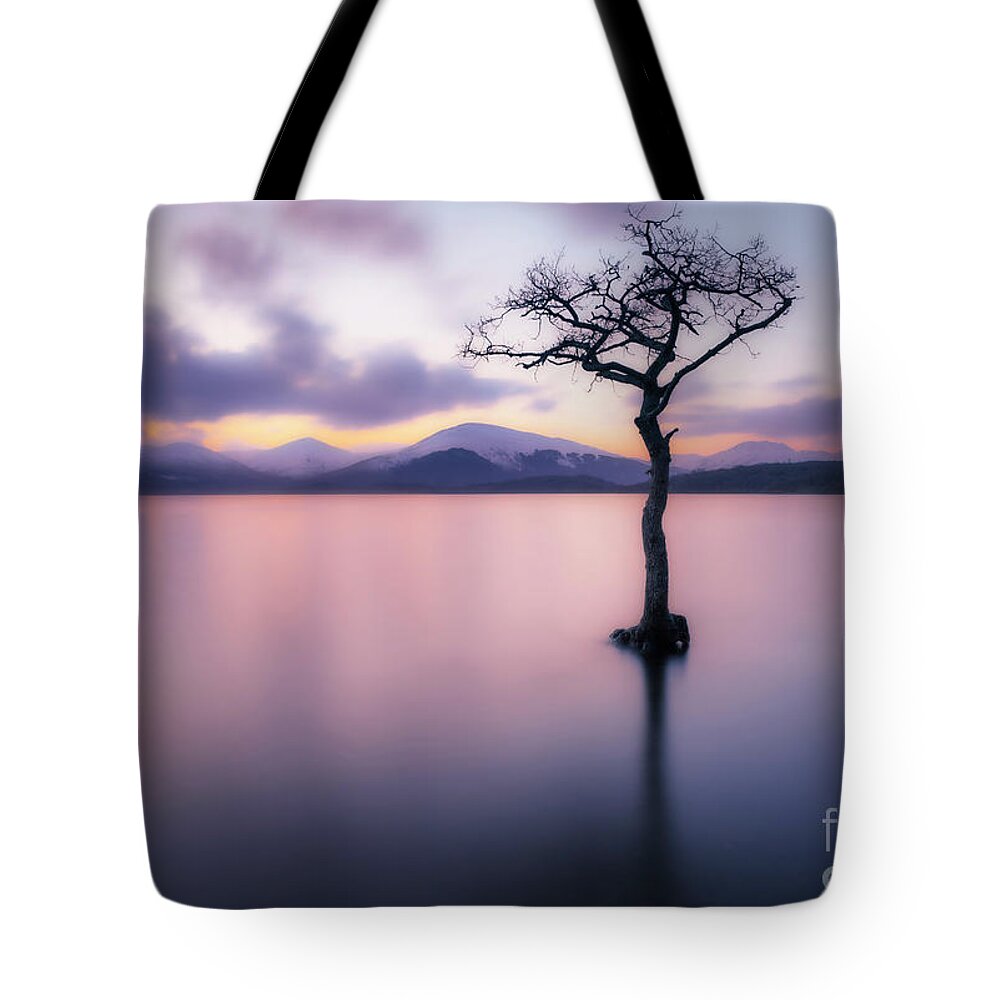 Loch Lomond Tote Bag featuring the photograph Lone tree dusk at Milarrochy Bay, Loch Lomond, Scotland by Neale And Judith Clark