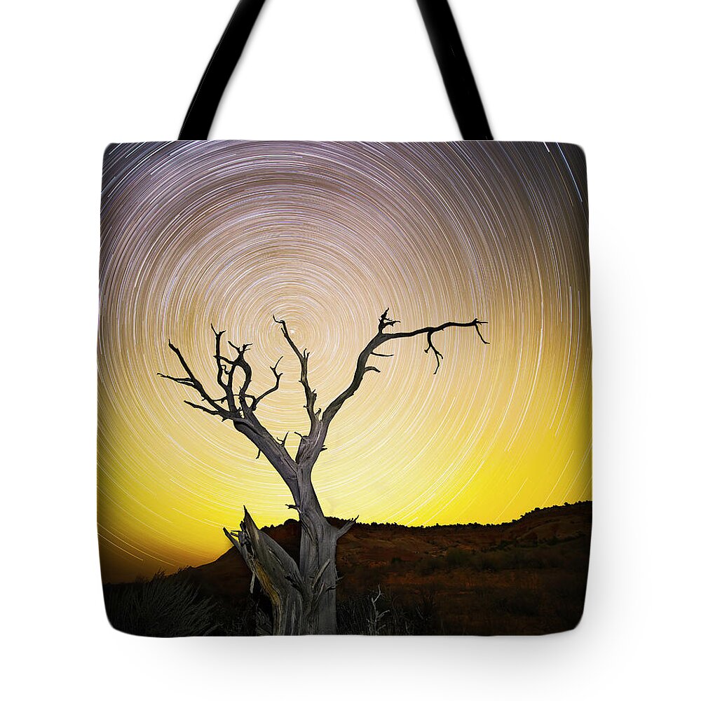 Amaizing Tote Bag featuring the photograph Lone Tree by Edgars Erglis