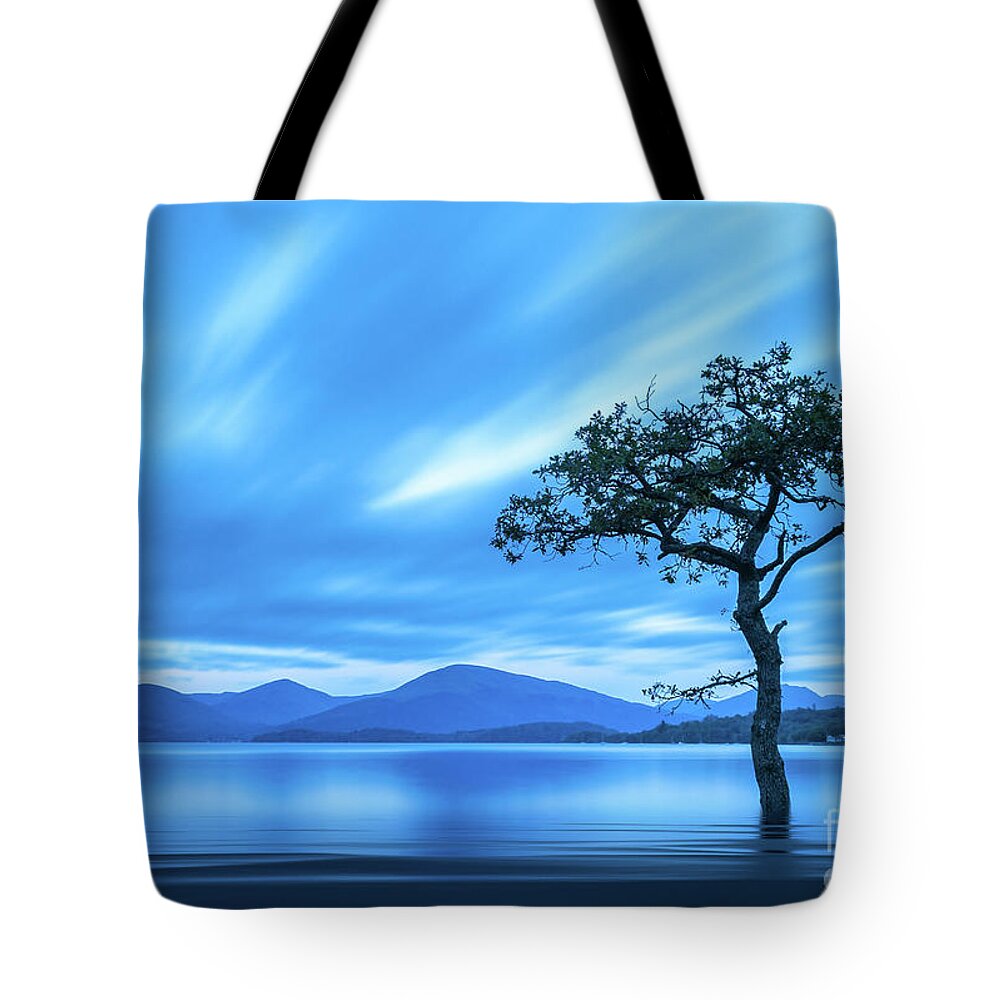 Milarrochy Bay Tote Bag featuring the photograph Lone tree Milarrochy Bay by Janet Burdon