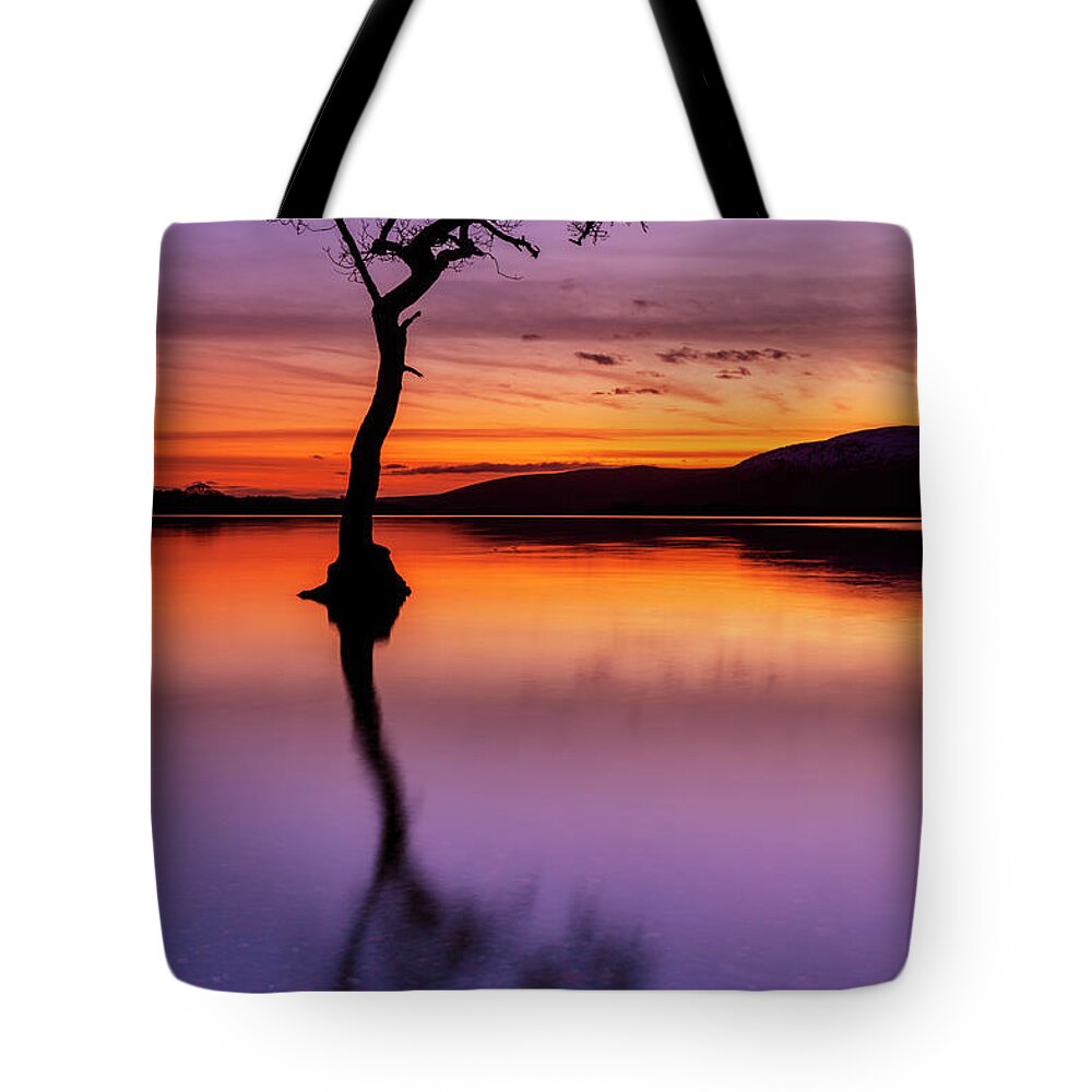 Loch Lomond Tote Bag featuring the photograph Lone tree reflections at Milarrochy Bay, Loch Lomond, Scotland by Neale And Judith Clark