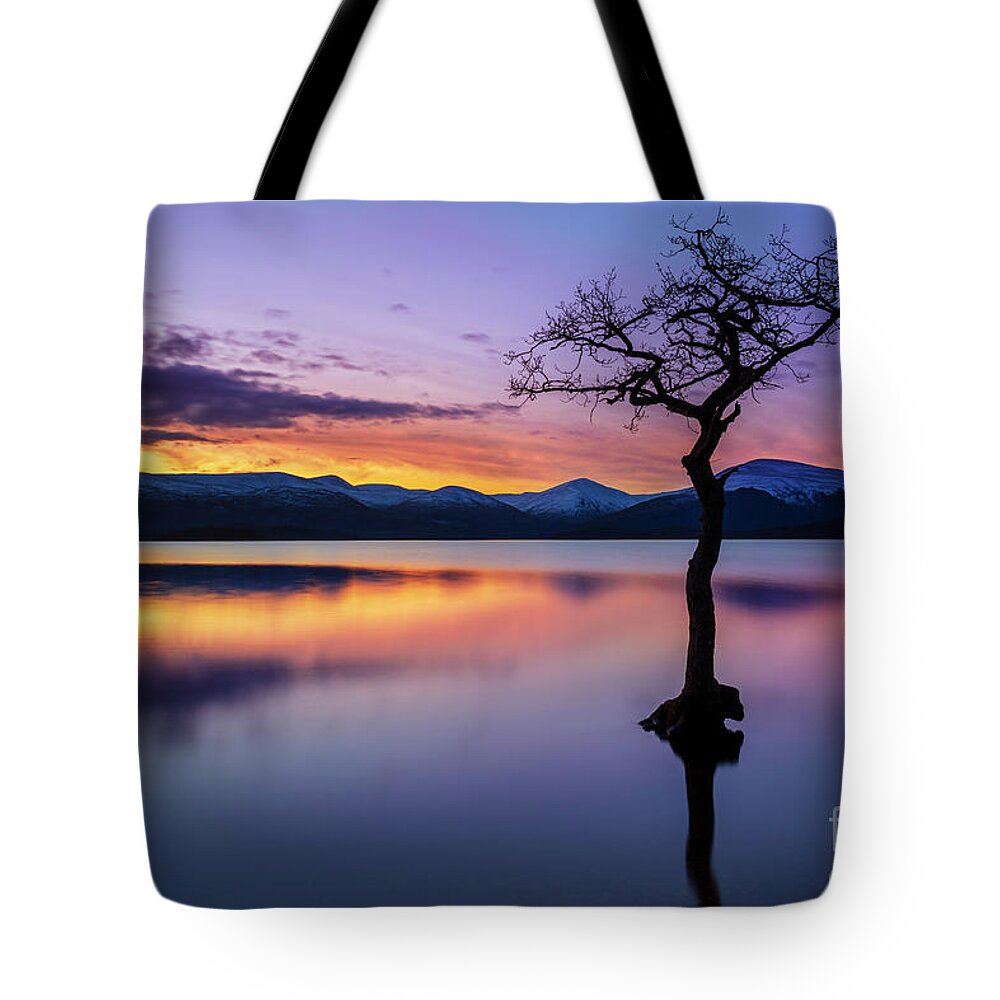 Loch Lomond Tote Bag featuring the photograph Lone tree sunset at Milarrochy Bay, Loch Lomond, Scotland by Neale And Judith Clark