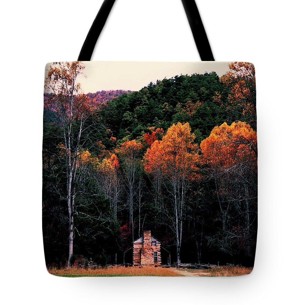 Tennessee Tote Bag featuring the photograph Lonely Cabin 93 by Mike McBrayer