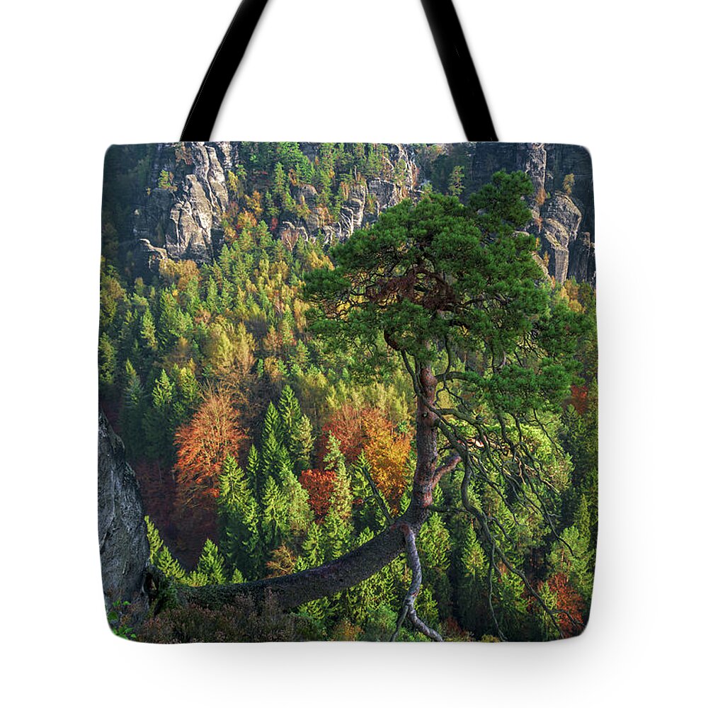 Saxon Switzerland Tote Bag featuring the photograph Lonely tree in the Elbe Sandstone Mountains by Sun Travels