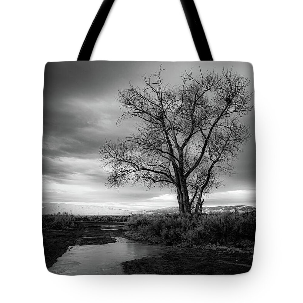 Nature Tote Bag featuring the photograph Lonely Tree on the Road Less Traveled by Mike Lee