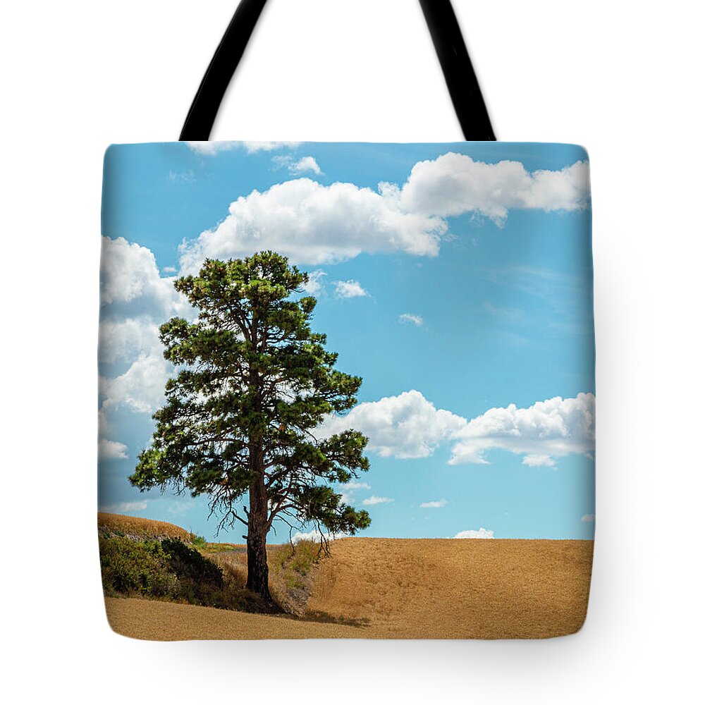 Landscapes Tote Bag featuring the photograph Lonesome Pine by Claude Dalley