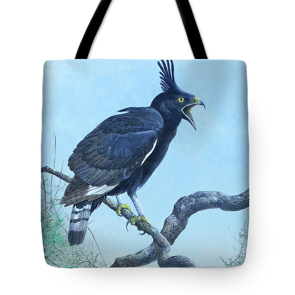 Barry Kent Mackay Tote Bag featuring the painting Long-crested Eagle by Barry Kent MacKay